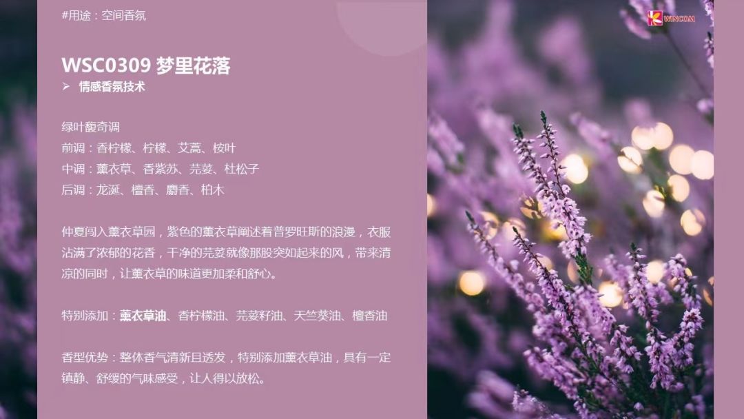 中國美容博覽會(huì)